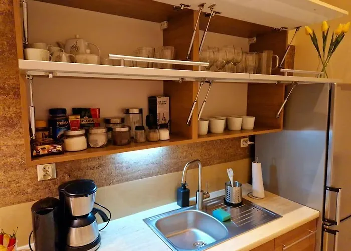 Apartment Royal Palace From The 14th Century - 125 M2 *